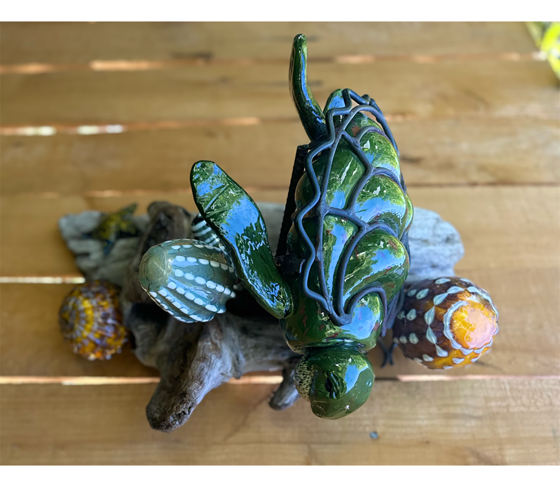 Small Green Turtle Coral Reef - Eileen Lagasse